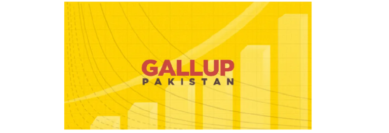 32% of Pakistanis think it is completely unsafe to take part in political rallies/gatherings. GILANI POLL/GALLUP PAKISTAN