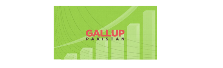 Only 42% cite Pakistan’s national interest as key factor in choosing between Obama and his challenger Mitt Romney. GILANI POLL/GALLUP PAKISTAN