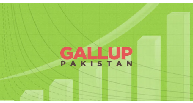 What Is Democracy? Most Pakistanis Associate ‘Democracy’ With Equality Of Citizens (22%), Followed By The Word ‘Elections’ (21%) And Parliament (21%)